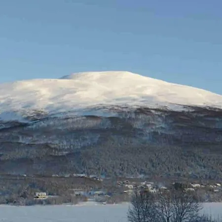 Lejlighed Moderne, Barnevennlig, Landlig
